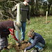 Stacey Plants Photo 1
