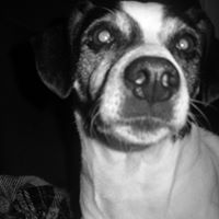 Drake Summers Photo 6