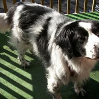 Suzanne Mcclintock Photo 13