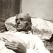 Andre Alfred Photo 11