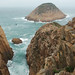 Sai Tsang Photo 6