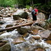 Nancy Brooks Photo 6