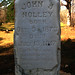 John Nolley Photo 2