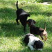 Felix Jenkins Photo 6