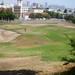 Dolores Brown Photo 8
