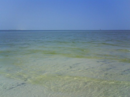 Margaret Scanlon Photo 8