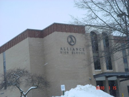 Diane Timmerman Photo 9